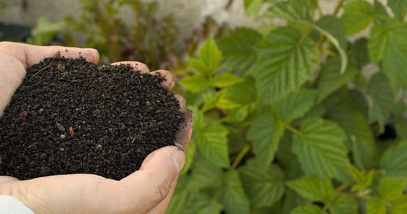 Cotierra erhält 3 Millionen Dollar für bessere Böden durch Biokohle